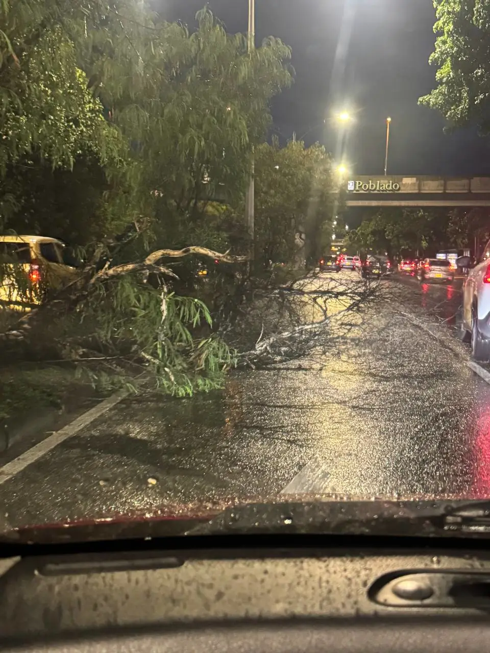 Lluvias en Medellín dejan árboles caídos e inundaciones en vías principales este 7 de septiembre
