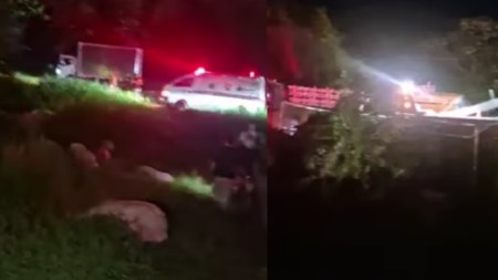 Accidente.Marranos