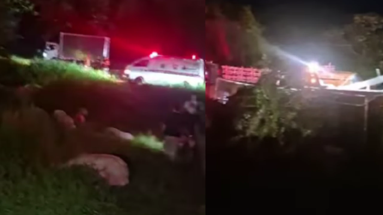 ¡Casi se salvan de diciembre! Se volcó un camión con más de cien cerdos en la vía a Medellín y escaparon Accidente.Marranos