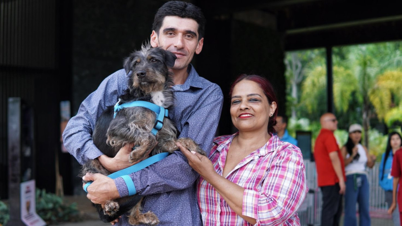 Medellín celebra jornada de adopciones: 49 perritos y gaticos encontraron un nuevo hogar Medellín celebra jornada de adopciones: 49 perritos y gaticos encontraron un nuevo hogar