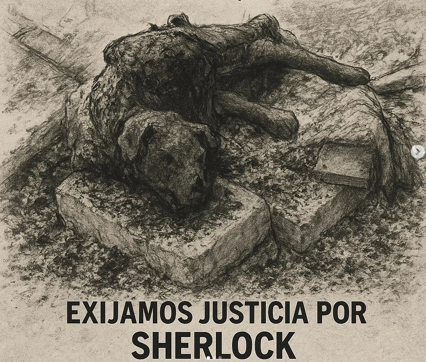 Hombre torturó y quemó vivo a su perrito en horno improvisado en la terraza de su casa en Pasto 1 Justicia-por-Sherlock