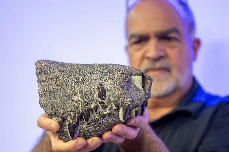 Kostensuchus atrox