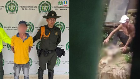 ¡Qué rabia! Libertad para el hombre que había sido condenado por asesinar a un gatico Libre-condenado-Ley-Ángel-1