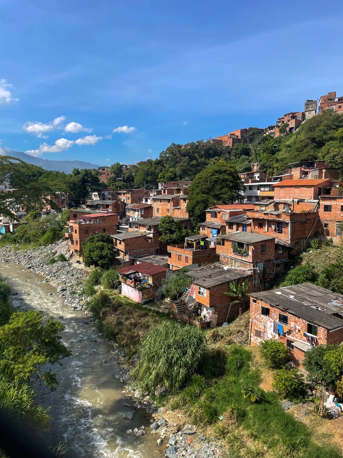 Macoproyecto-de-La-Iguaná