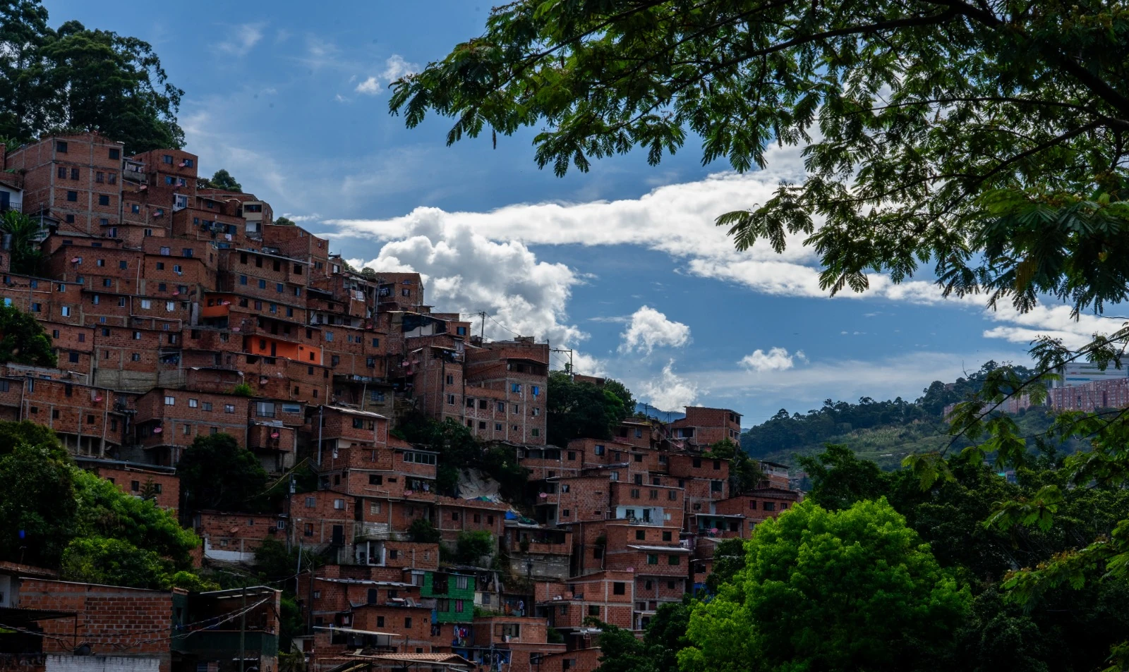 Macoproyecto-de-La-Iguaná-2