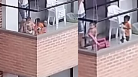 MaltratoAnimal Perrito