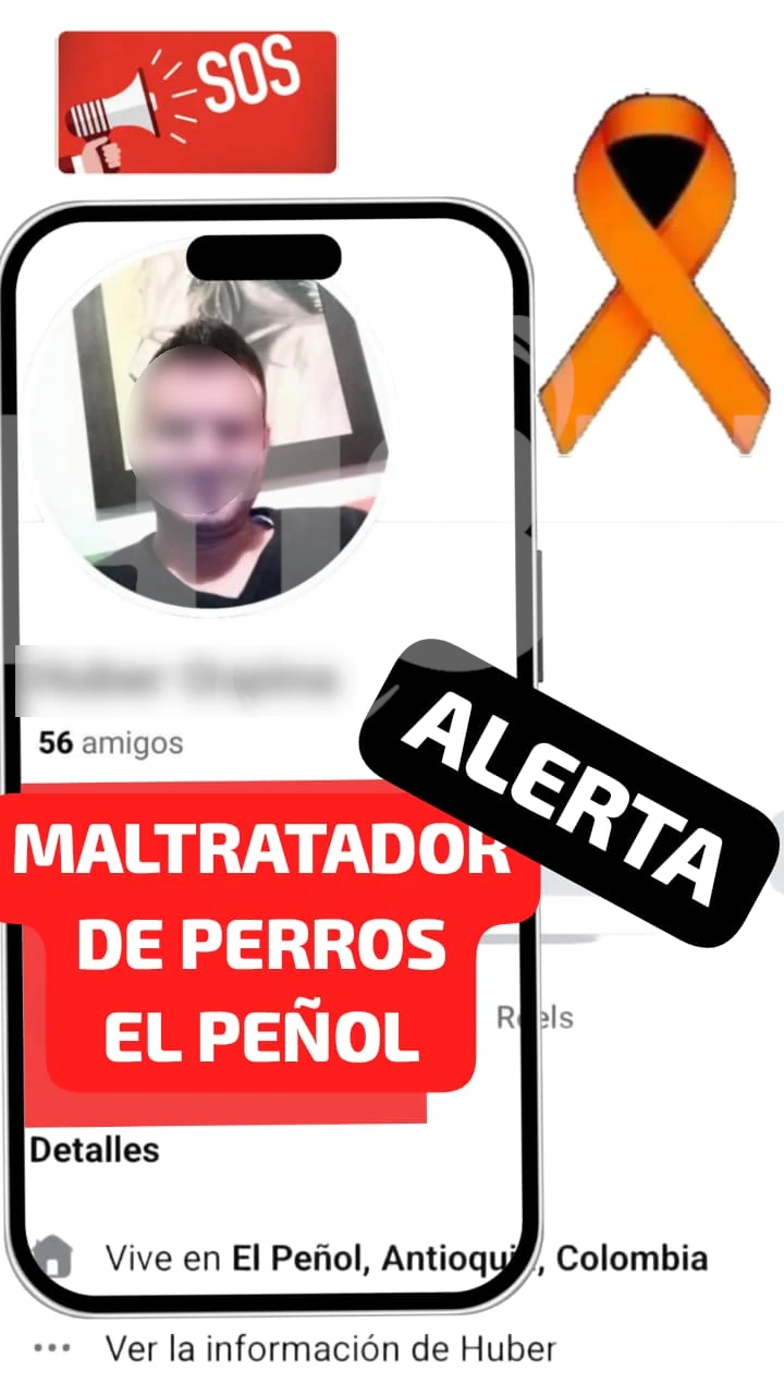 Perrito-agredido-en-El-Peñol-2