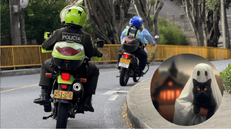 Estos municipios de Antioquia tendrán restricción de parrillero y toque de queda en festivo de Halloween Estos municipios de Antioquia tendrán restricción de parrillero y toque de queda en festivo de Halloween