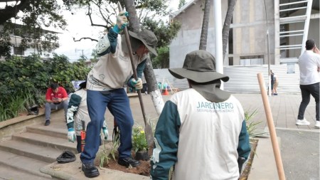 En Itagüí les dieron empleo a exhabitantes de calle para embellecer los parques y zonas verdes de la ciudad