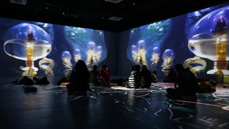 Medellín vive el Festival Fotosíntesis 2025: arte, ciencia y tecnología en un mismo lugar Festival Fotosíntesis 2025: arte, ciencia y tecnología en un mismo lugar