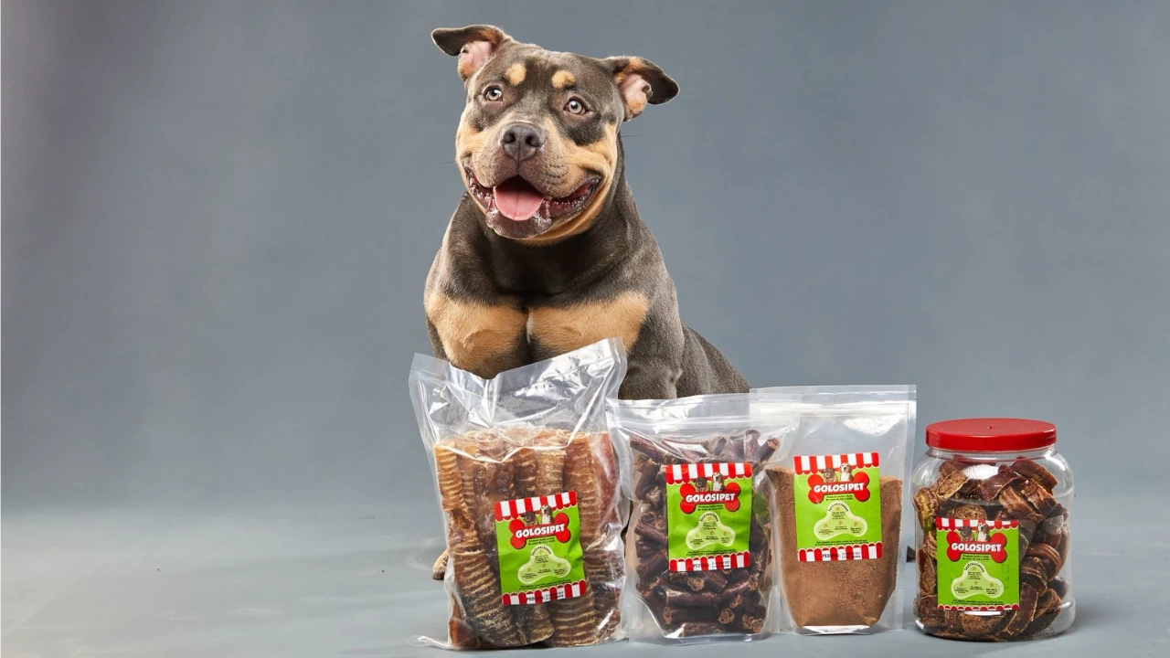 Un emprendimiento que combina nutrición, sostenibilidad y amor por las mascotas da origen a Golosipet, una marca que transforma subproductos cárnicos en snaks saludables para los peluditos