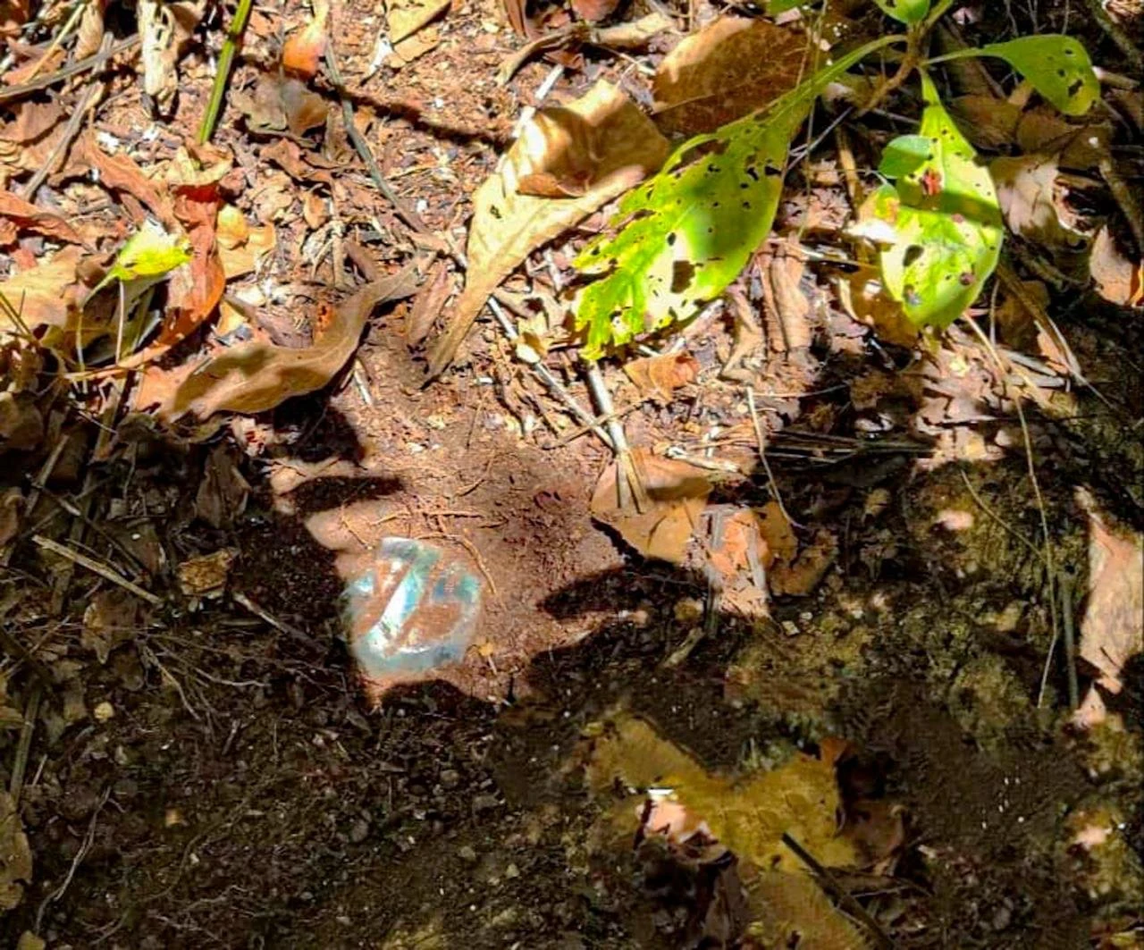Ejército destruye 35 artefactos explosivos en Ituango: algunos estaban enterrados y otros envueltos en botellas de vidrio 1 Ituango-artefactos-explosivos-1