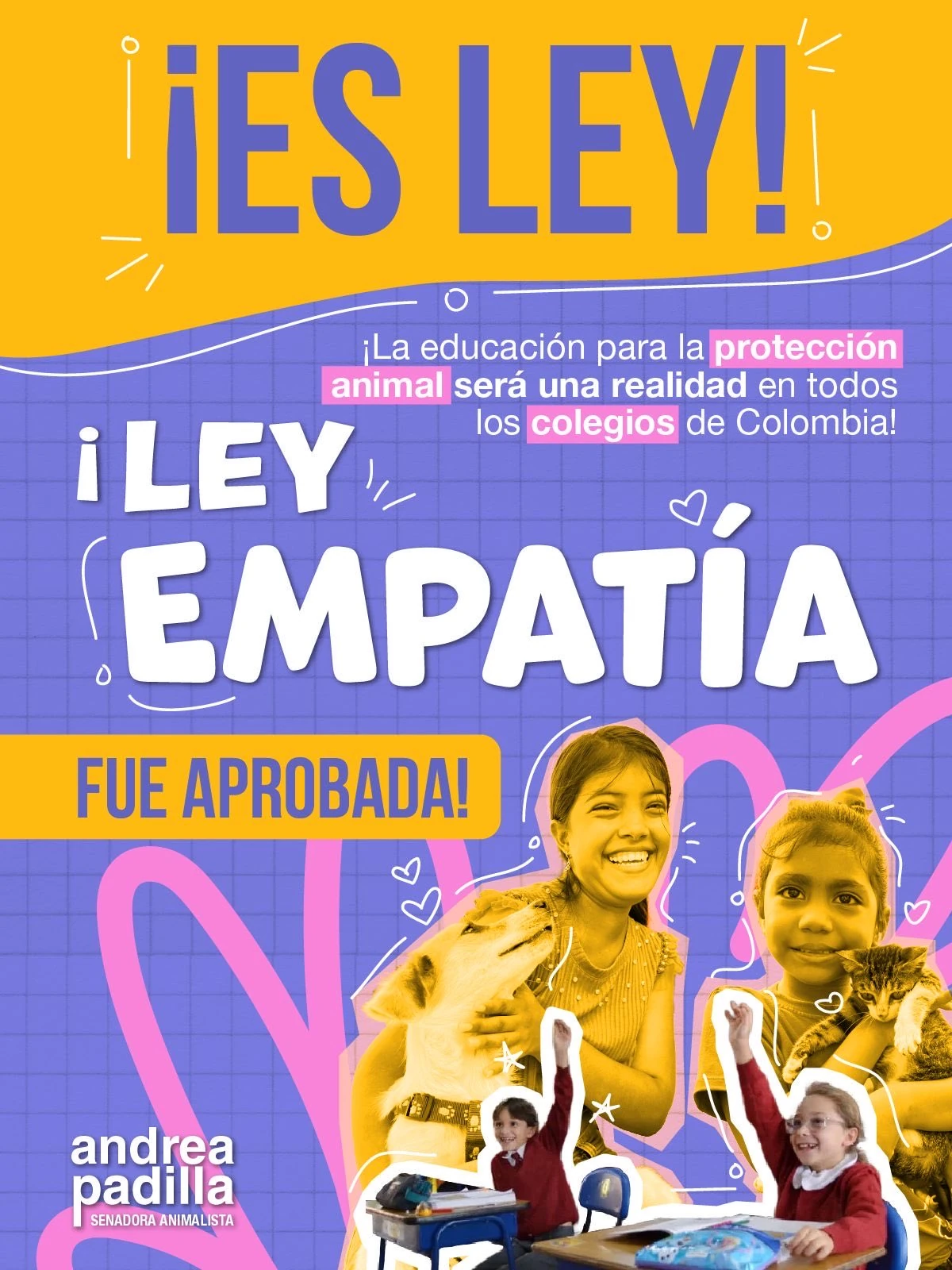 Ley-Empatia-Colombia-1