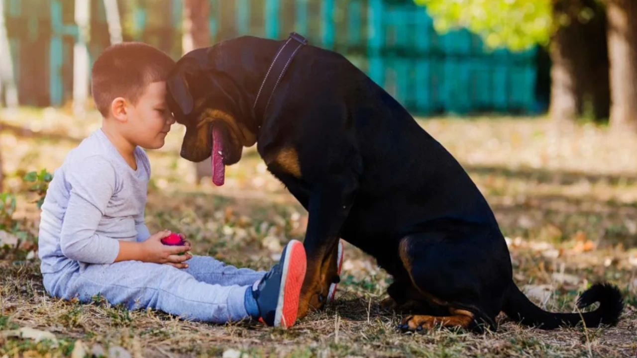 Ley-Empatia-Colombia
