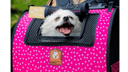 Mimospets crea guacales y accesorios pensados para que cada salida con las mascotas sea más práctica, segura y llena de estilo