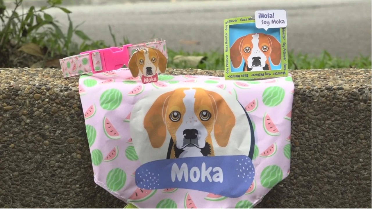 Caza Monster: el arte que convierte a las mascotas en protagonistas del diseño de accesorios únicos para ellos 1 Entre una combinación de ilustración, diseño y amor por los animales, Caza Monster se convierte en productos personalizados hechos a mano