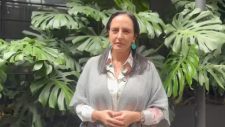 "Ser petrista no los exime de cumplir la ley": María Fernanda Cabal denuncia a Irene Vélez ante la Procuraduría