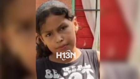 Niña de 11 años desaparecida en San Roque fue encontrada; la tenían escondida en una casa Salomé Moreno Sánchez, de 11 años, fue reportada como desaparecida en San Roque, Antioquia