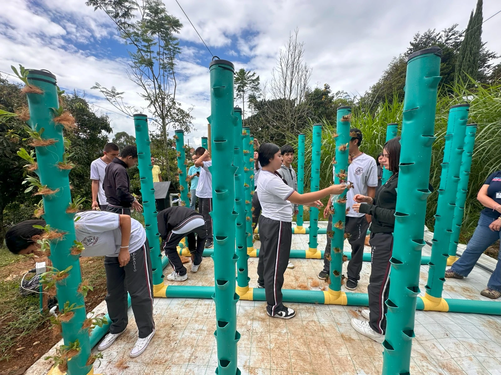 jóvenes-rurales-campo-innovador-1