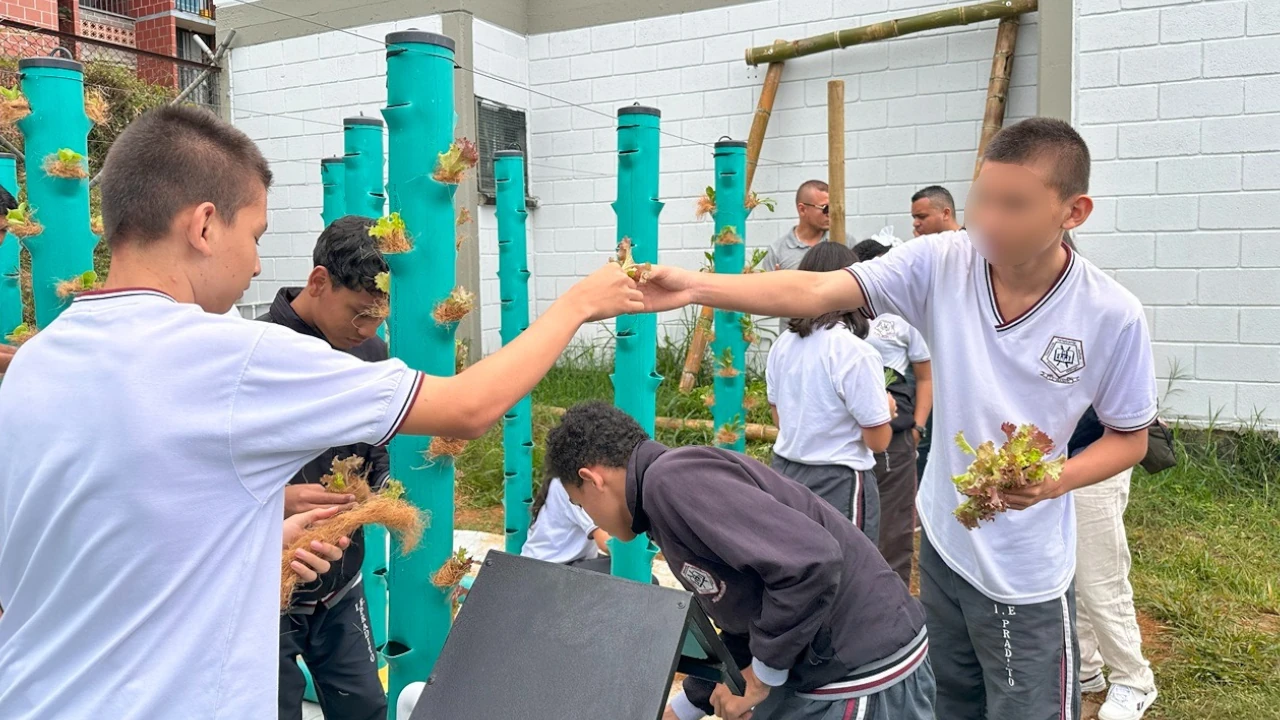 jóvenes-rurales-campo-innovador