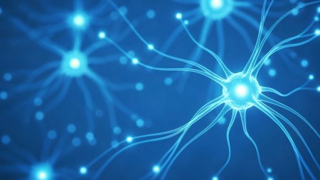 Hito en la salud: prometedora terapia intracerebral para la enfermedad de Huntington neuronas