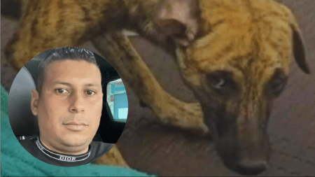 perrito-maltratado-fernando-oviedo
