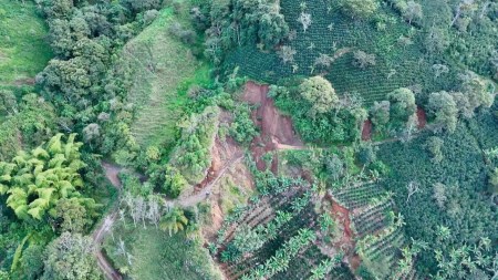 Entre escombros y lodo: Autoridades de Pueblorrico reportan 40 animales rescatados y familias damnificadas