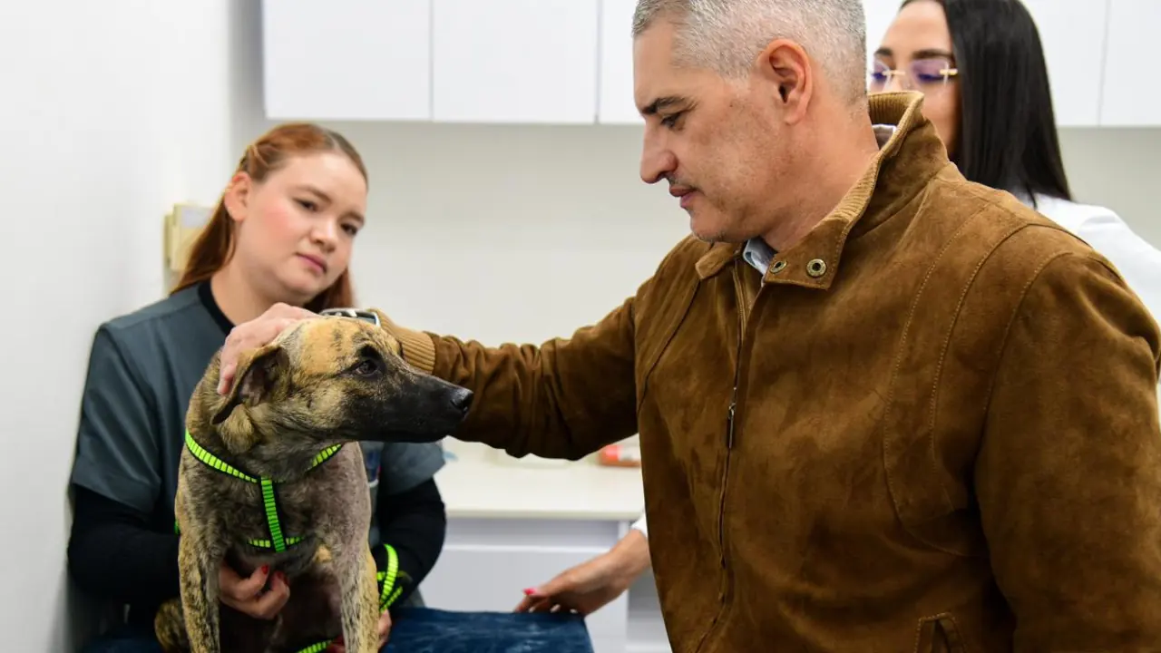 El gobernador de Antioquia visitó a Bizcocho, el perrito que sobrevivió al maltrato y lucha por recuperarse