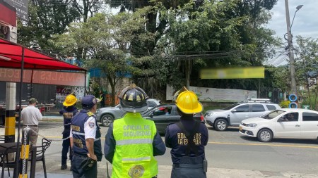 reportan que gigantesco árbol está a punto de caer cerca de una guardería y viviendas en La Estrella