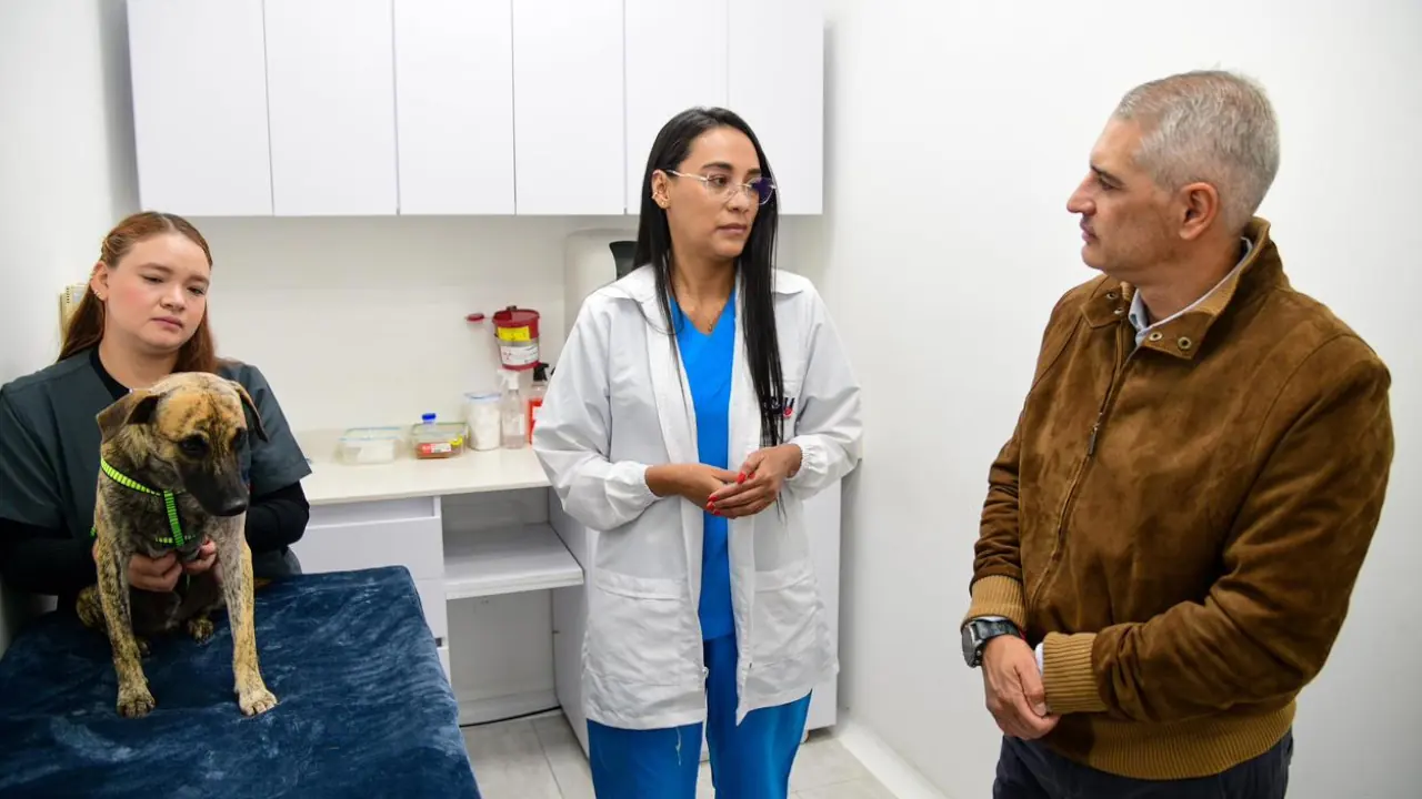 El gobernador de Antioquia visitó a Bizcocho, el perrito que sobrevivió al maltrato y lucha por recuperarse