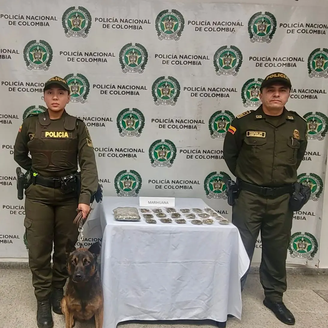 Hallan más de 600 gramos de marihuana durante un control vial en La Ceja