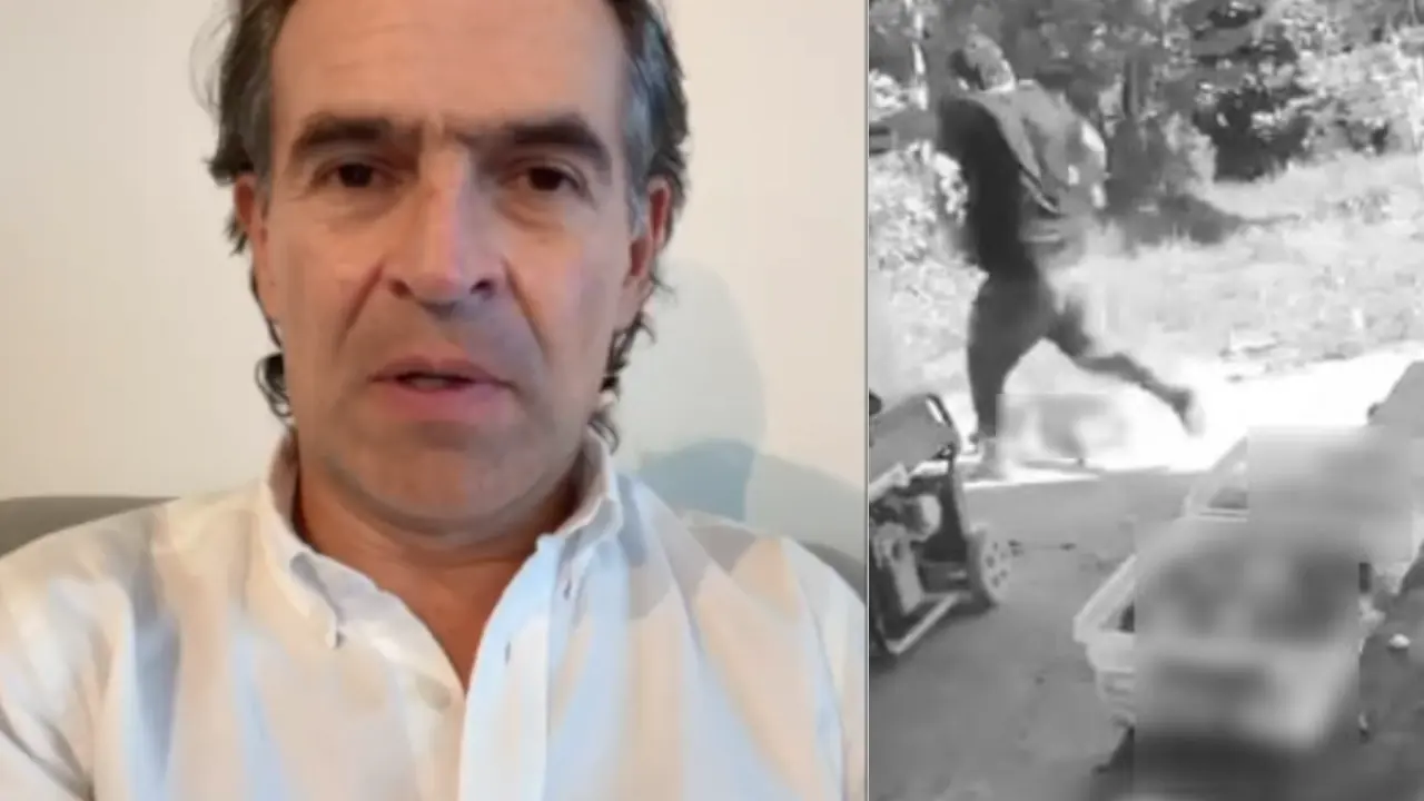 Alcalde de Medellín pide justicia tras indignante caso de maltrato animal que sacudió a Antioquia