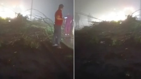 Urgente: Autopista Medellín-Bogotá cerrada en Copacabana por caída de árbol Urgente: Autopista Medellín-Bogotá cerrada en Copacabana por caída de árbol