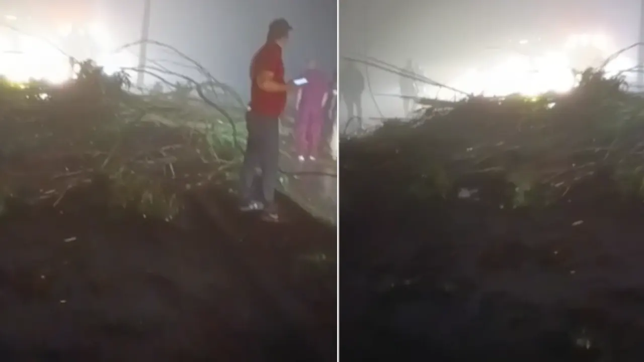 Urgente: Autopista Medellín-Bogotá cerrada en Copacabana por caída de árbol