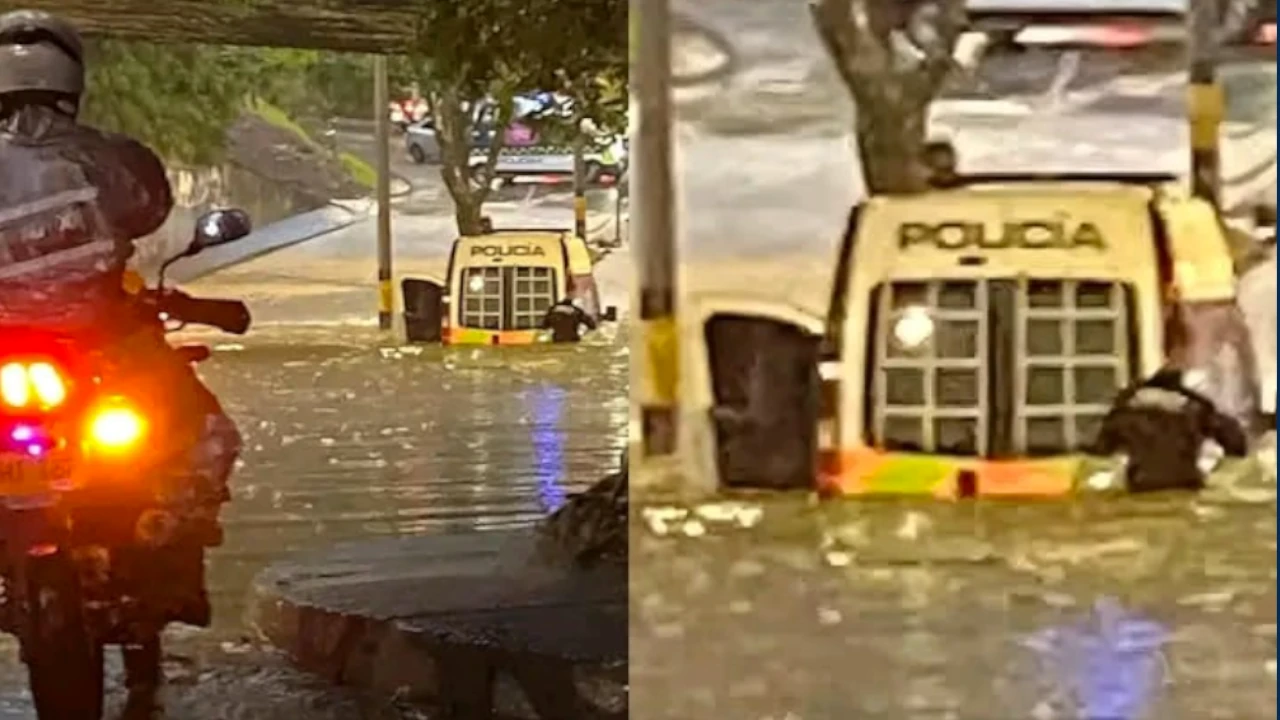 DeprimidoFeriaDeGanado