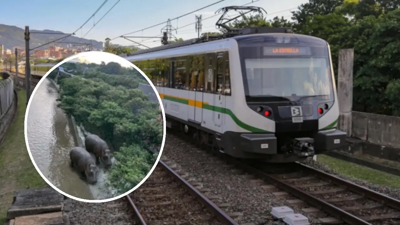 La épica respuesta del Metro de Medellín tras la imagen de supuestos hipopótamos en Tricentenario