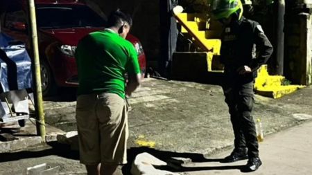 Masacre animal: cinco perros muertos por presunto envenenamiento en Valparaíso