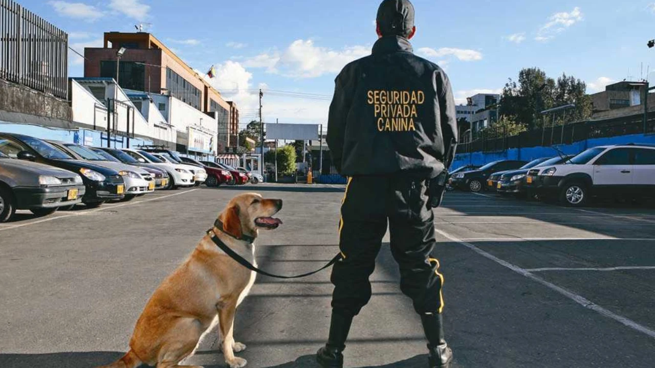 Colombia regula el trabajo de perros de seguridad tras muerte en El Dorado PerrosdeSeguridad