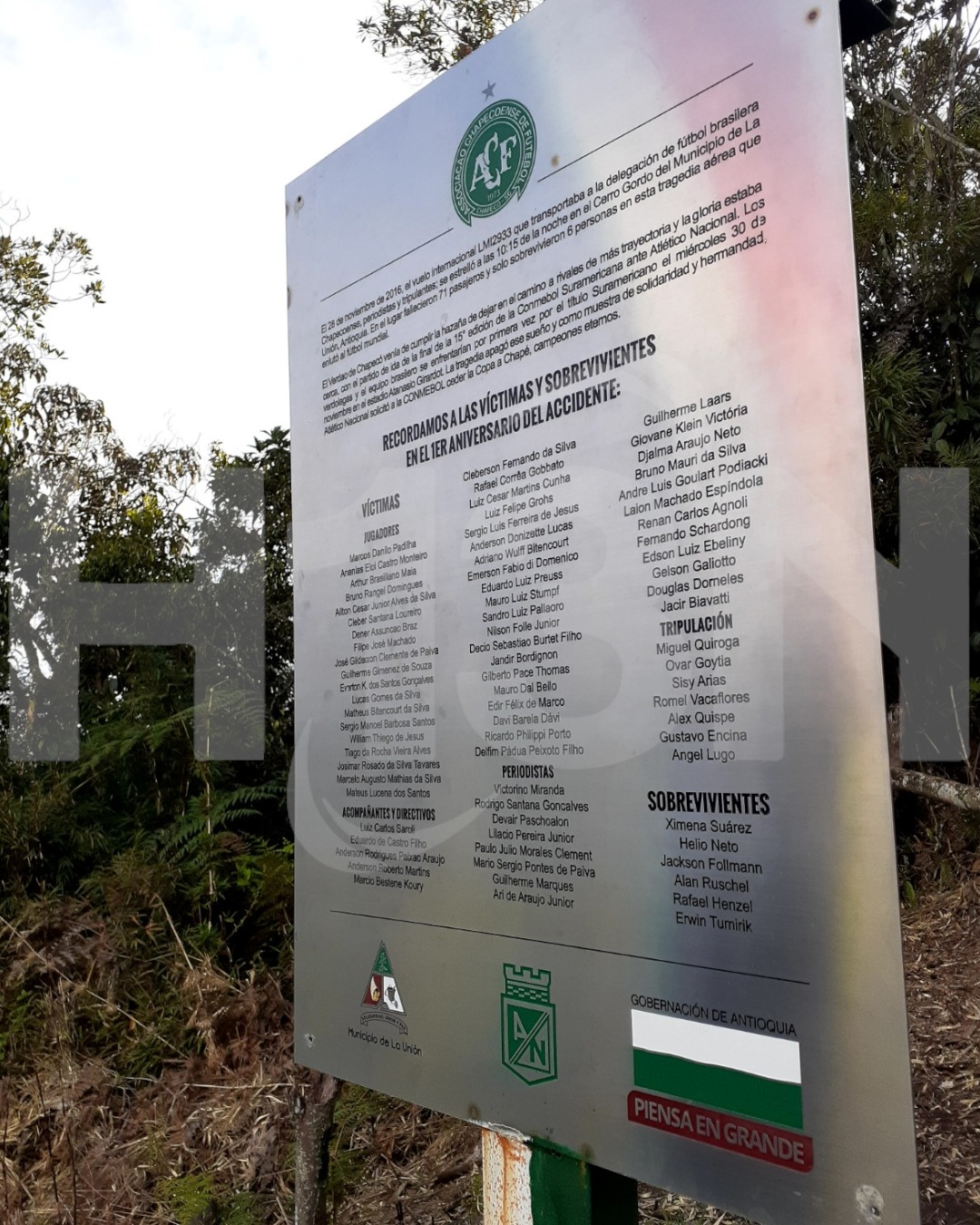 WhatsApp Image 2025 11 28 at 12.36.19 PM