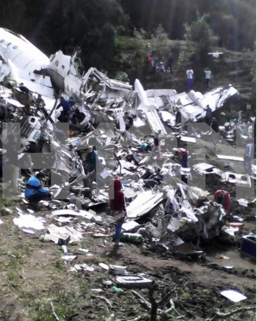 WhatsApp Image 2025 11 28 at 12.50.35 PM