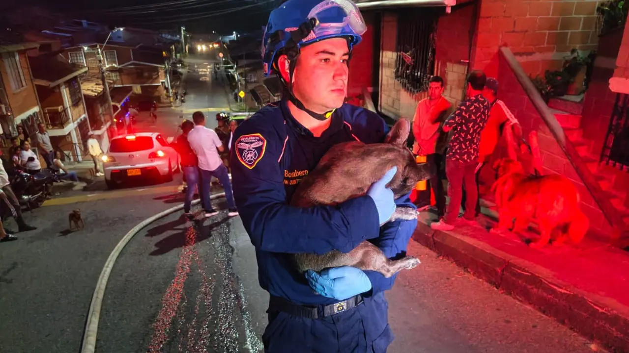 Bomberos rescataron tres perritos atrapados en un incendio en una casa de Rionegro