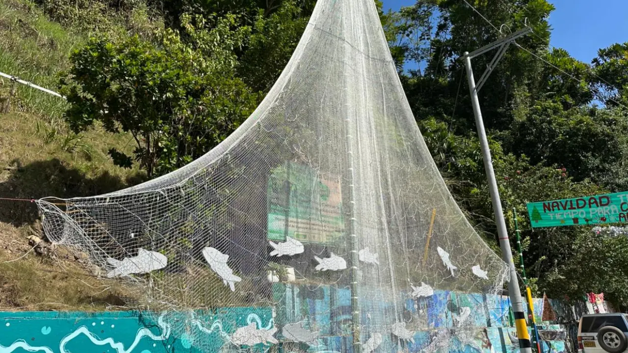 La atarraya más grande de San Carlos ahora brilla como árbol de Navidad