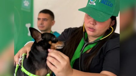 Bello estrena unidad móvil para atender animales y llevar servicios a todos los barrios