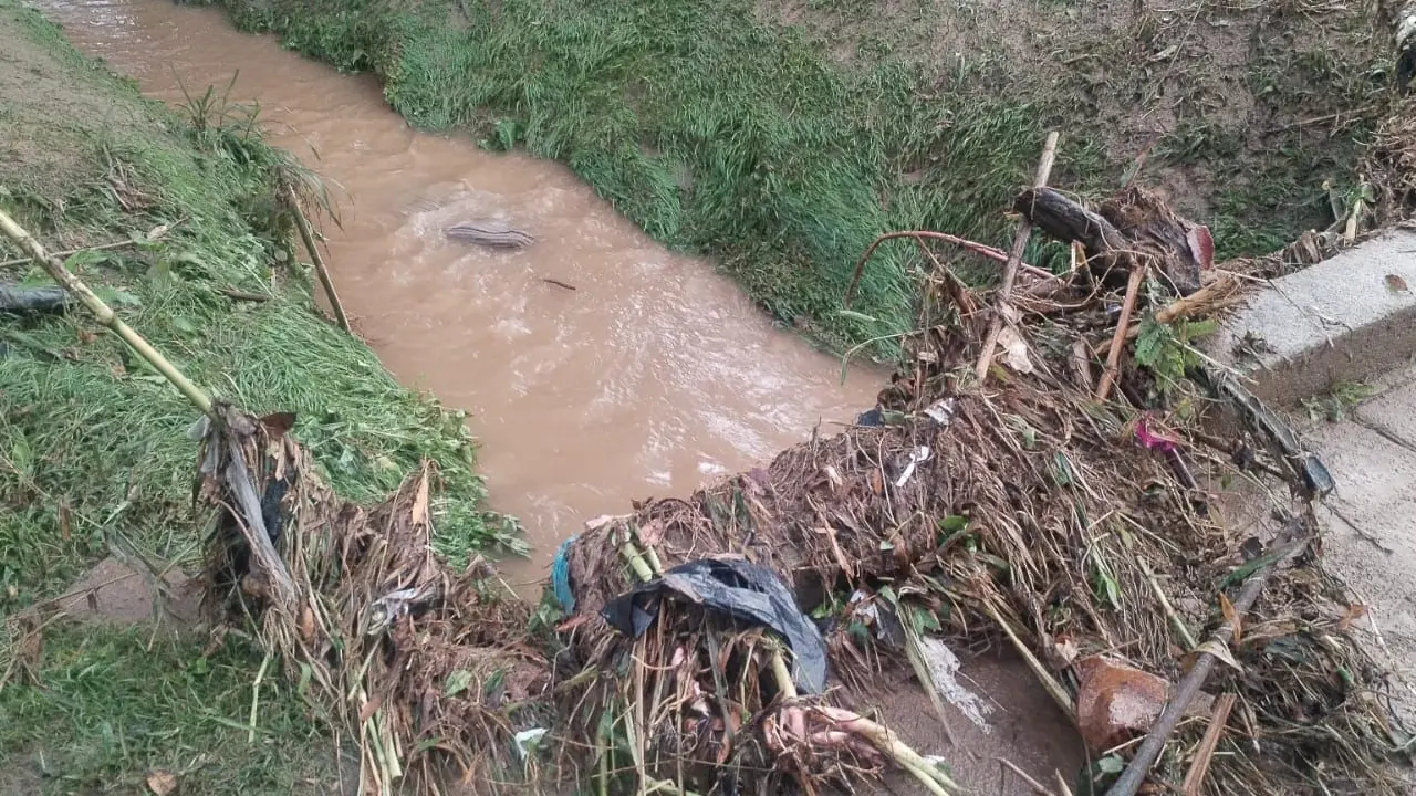 Fuerte aguacero genera inundaciones y caída de árboles en La Ceja