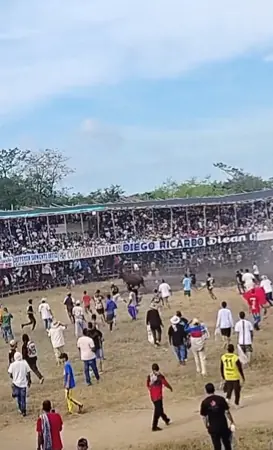 Gobernación de Antioquia recuerda normas obligatorias para proteger animales en corralejas