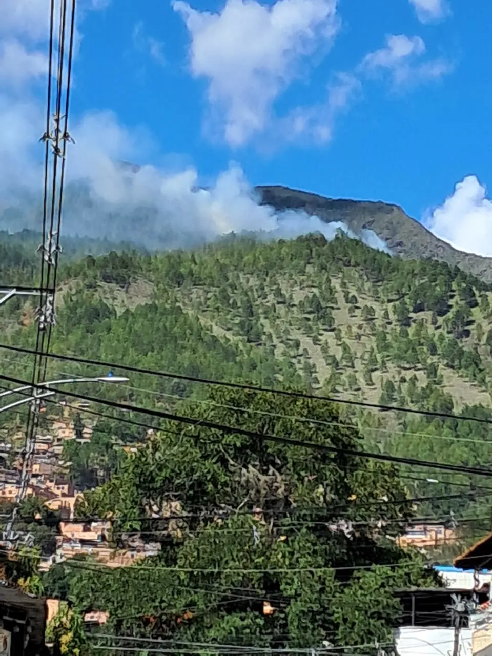 Incendio fue reportado en el Cerro Quitasol este 31 de diciembre