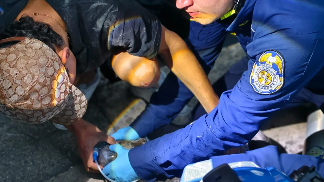Bomberos rescataron tres perritos atrapados en un incendio en una casa de Rionegro