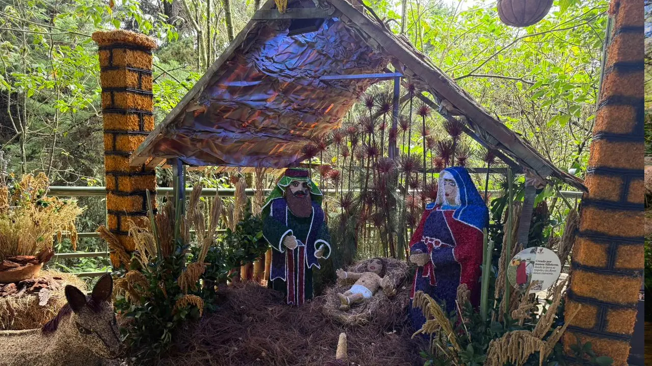 Miles de personas llegan al Parque Arví y los cerros de Medellín durante la temporada de vacaciones