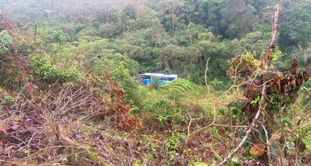 599001361 1430472229083022 2638598811370136628 n