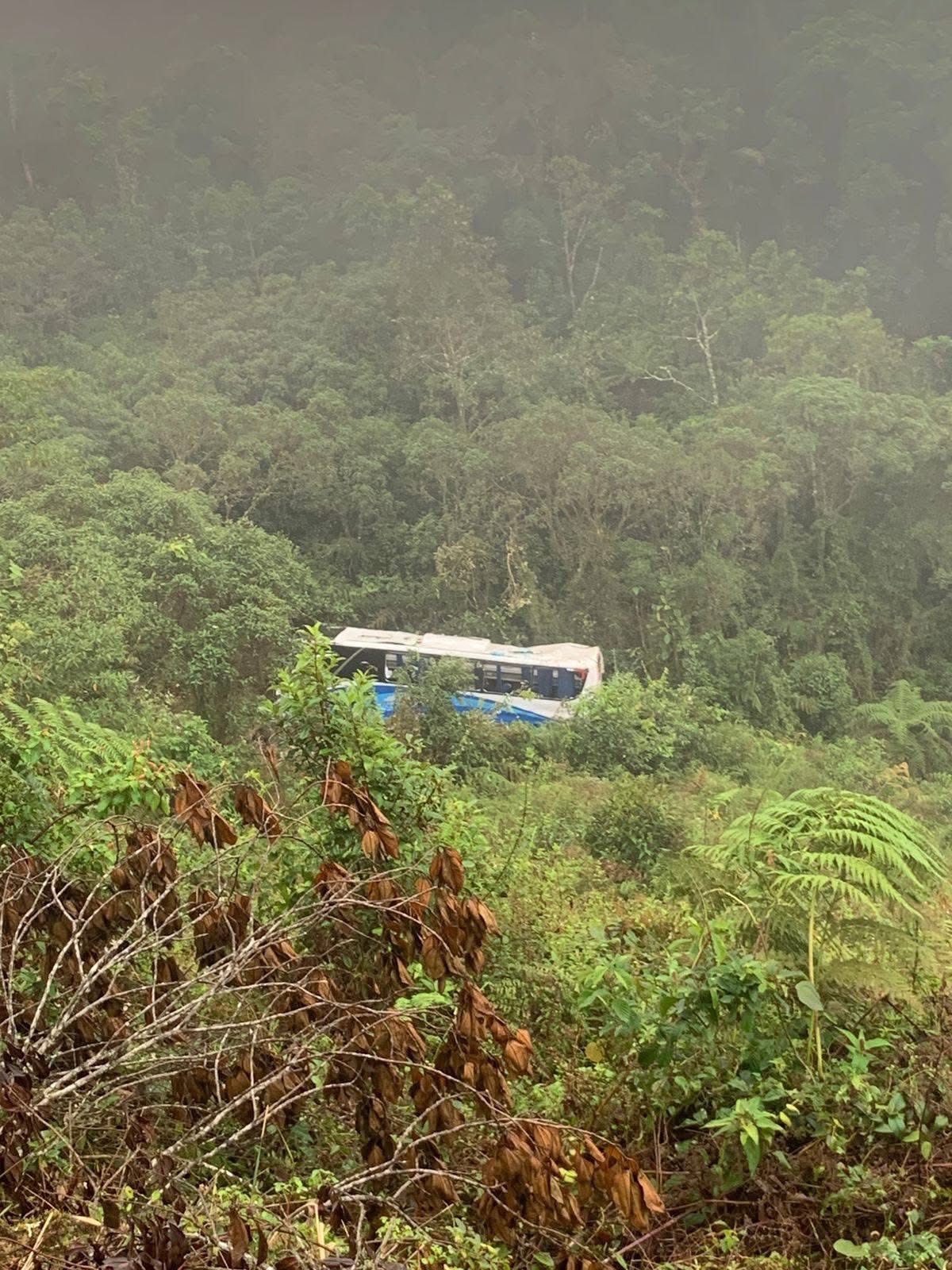 599941962 1430472235749688 5407664822939283047 n